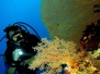 Sharm El Sheikh 2013